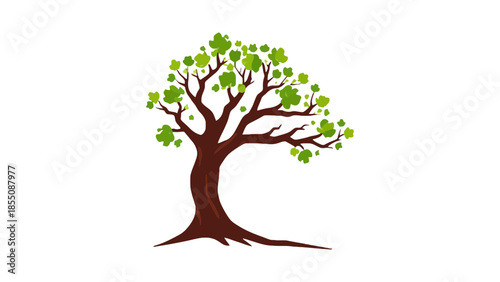 A stylized illustration of a deciduous tree with green leaves.