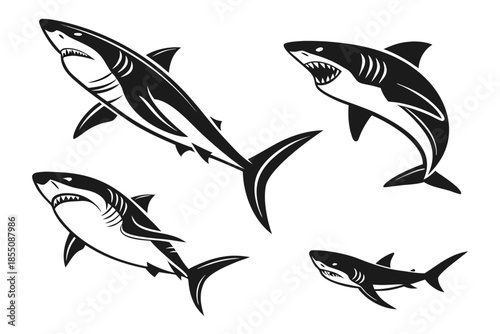 Placeholder image display