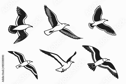 Placeholder image display