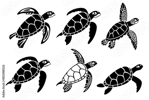 Placeholder image display