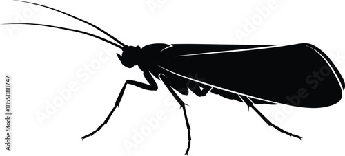 Caddisfly Silhouette Vector Illustration on White Background