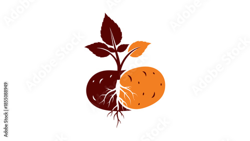 Potato plant sprout with roots and tubers, stylized logo concept