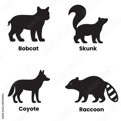 Bobcat, Coyote, Skunk and Raccoon silhouettes vector set illustration.