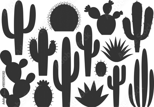 Flat vector illustration set of green cactus plants, desert succulents collection, botanical nature elements, minimal design style