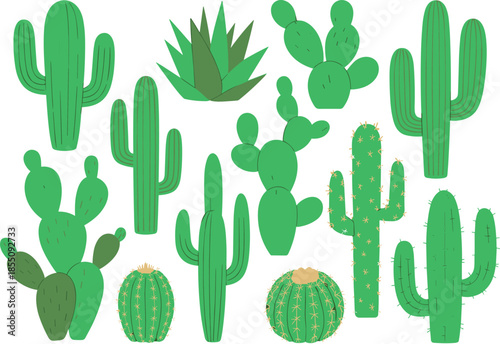 Flat vector illustration set of green cactus plants, desert succulents collection, botanical nature elements, minimal design style