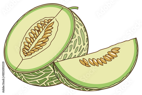 Fresh green melons sliced open showing seeds and juicy pulp