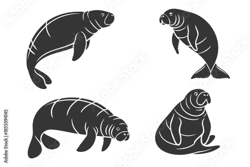 Placeholder image display