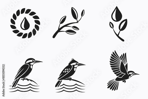 Placeholder image display