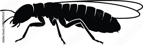 Termite Silhouette Vector Illustration on White Background