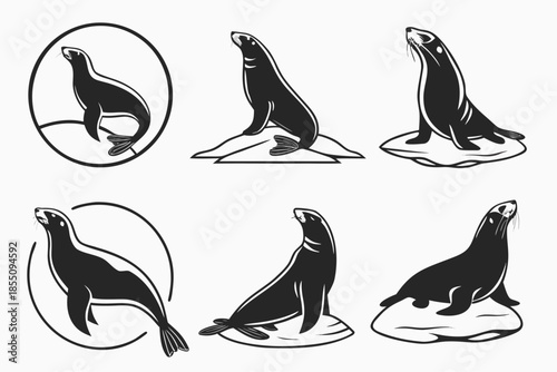 Placeholder image for vector file