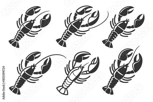 Placeholder image display