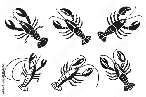 Placeholder image display