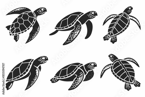 Placeholder image display