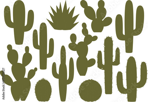 Flat vector illustration set of green cactus plants, desert succulents collection, botanical nature elements, minimal design style