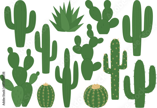 Flat vector illustration set of green cactus plants, desert succulents collection, botanical nature elements, minimal design style