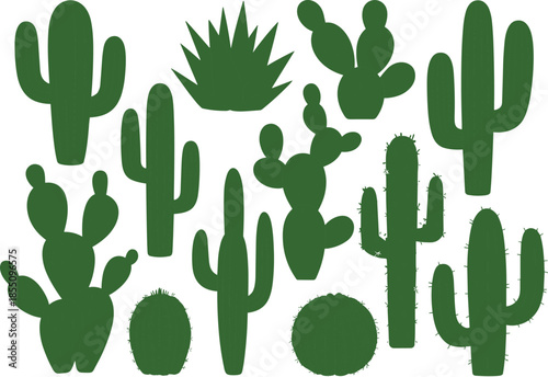 Flat vector illustration set of green cactus plants, desert succulents collection, botanical nature elements, minimal design style