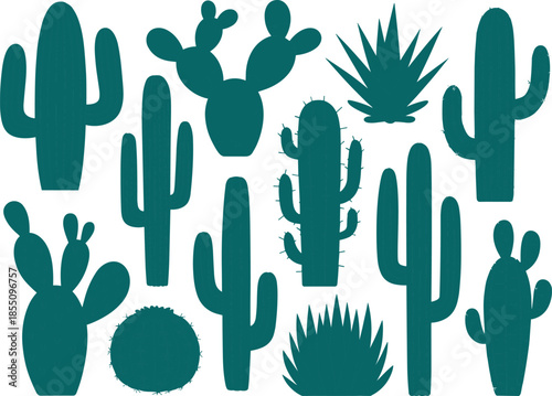 Flat vector illustration set of green cactus plants, desert succulents collection, botanical nature elements, minimal design style