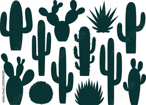 Flat vector illustration set of green cactus plants, desert succulents collection, botanical nature elements, minimal design style