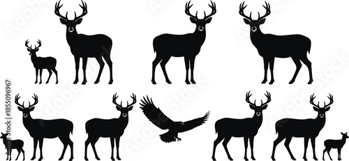 Deer family silhouette illustration set with stag doe fawn and flying bird black white vector wildlife nature design