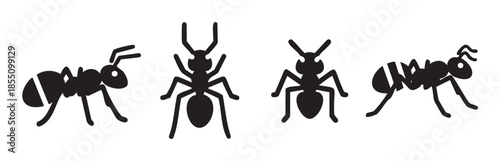 Four black ant icons in various poses create a simple, graphic illustration perfect for insect-related designs, educational materials, or pest control themes.