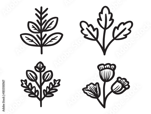 Nice herbs plants line art icons in a lovely minimalist style