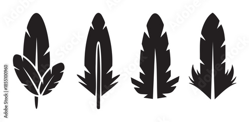 Four stylized black feather silhouettes arranged vertically in a row, showcasing various abstract and decorative designs for graphic elements.