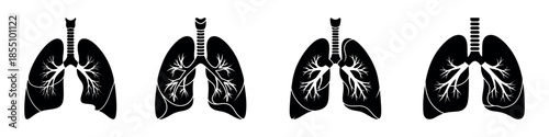 Detailed illustrations of human lungs from various anatomical viewpoints