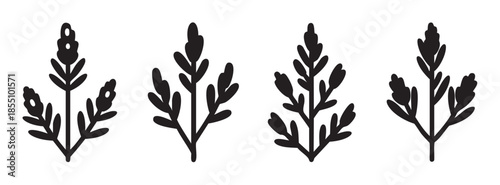 Stylized black botanical sprigs and branches create a charming collection of minimalist plant illustrations for various design projects.