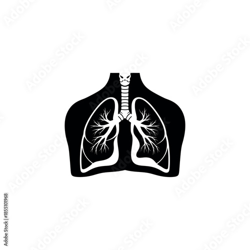 Illustration of human lungs and trachea viewed from the front, showcasing the respiratory system in a simple graphic representation