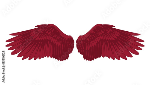  Red Angel Wings or Fiery Red Wings Illustration.