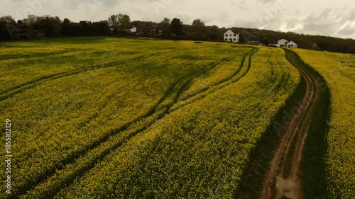 Track road through rapeseed fields in British countryside drone aerial 