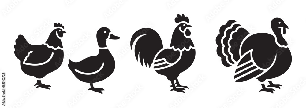 Obraz premium Various farm birds poultry animal silhouettes standing together in a row, representing common domesticated fowl for agricultural and culinary themes.