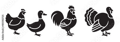 Various farm birds poultry animal silhouettes standing together in a row, representing common domesticated fowl for agricultural and culinary themes.