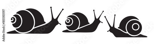 Three black snails with spiral shells slowly moving forward in a row, depicted as simple graphic silhouettes, representing nature and progress.