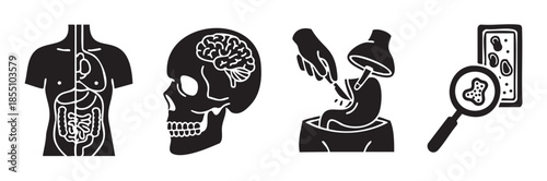 Medical anatomy human body diagnostic procedure icons collection illustrating various aspects of health, internal organs, brain function, and cellular examination.