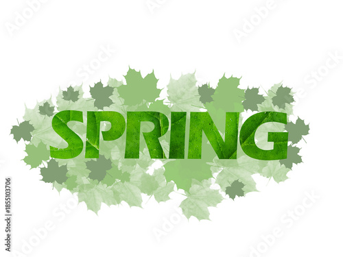 Flowers and leaves in green white background
