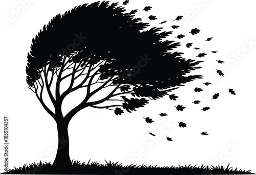 Autumn Tree Blowing In Wind