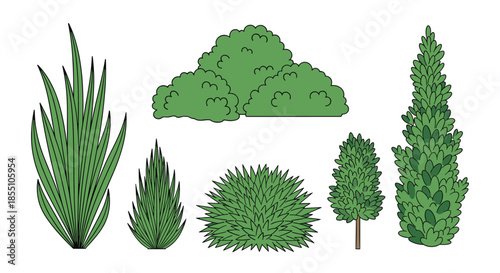 Set of green bushes and ornamental shrubs in different shapes and sizes provides versatile elements for landscape and garden design projects.