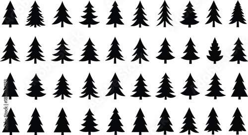 Christmas evergreen tree silhouette illustration collection with diverse pine fir shapes black white vector icons isolated winter holiday design