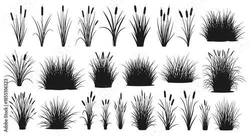 Large set of black silhouettes featuring different varieties of marsh grass, cattails, and reeds for natural landscaping design.