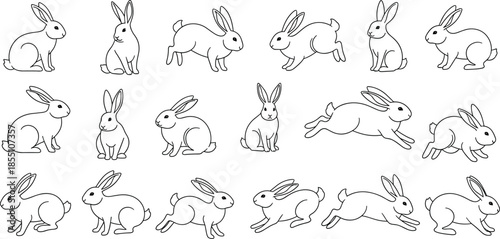Cute rabbit poses collection black and white outline vector illustration set for animation icons stickers children designs education nursery prints