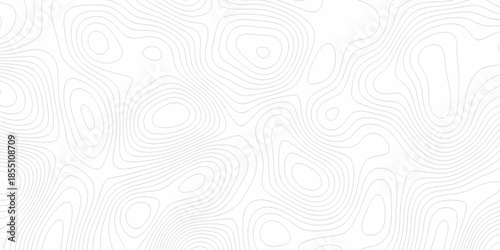 White wave paper curved reliefs abstract background, Abstract topographic contours map background. Black and white lines seamless Topographic map patterns, topography line map.