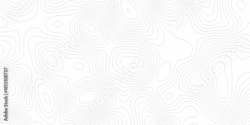 White wave paper curved reliefs abstract background, Abstract topographic contours map background. Black and white lines seamless Topographic map patterns, topography line map.
