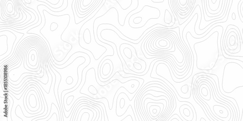 White wave paper curved reliefs abstract background, Abstract topographic contours map background. Black and white lines seamless Topographic map patterns, topography line map.