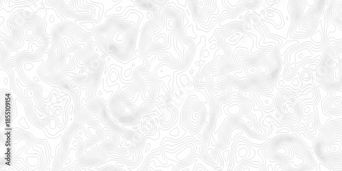 White wave paper curved reliefs abstract background, Abstract topographic contours map background. Black and white lines seamless Topographic map patterns, topography line map.