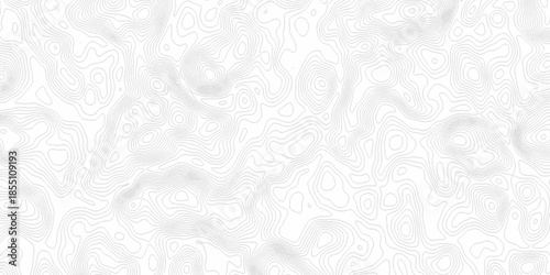 White wave paper curved reliefs abstract background, Abstract topographic contours map background. Black and white lines seamless Topographic map patterns, topography line map.