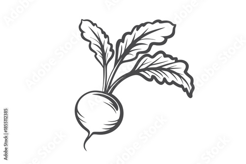 Stylized Beetroot Silhouette with Detailed Leaves on a Clean White Background