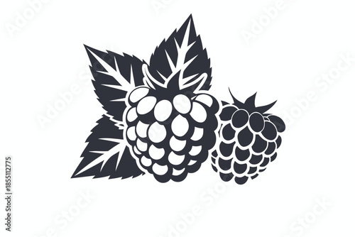 Stylized raspberry features black outline with white and red color on white background