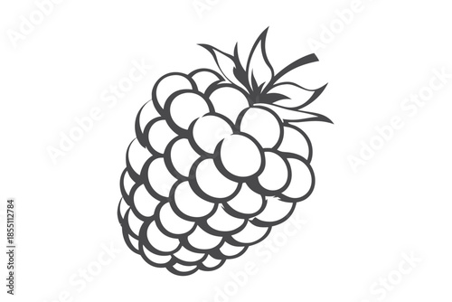 Stylized Raspberry with Leaf Detail on White Background