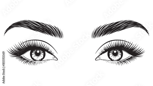 A Captivating Black and White Vector Illustration of Beautiful Female Eyes with Long, Voluminous Eyelashes and Perfectly Groomed Eyebrows.